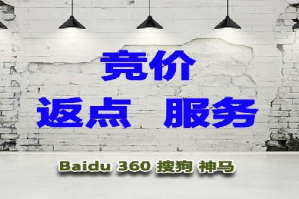 行业领先企业的SEM优化之路